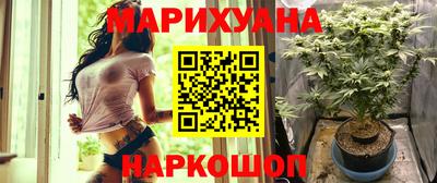 крисы Ливны