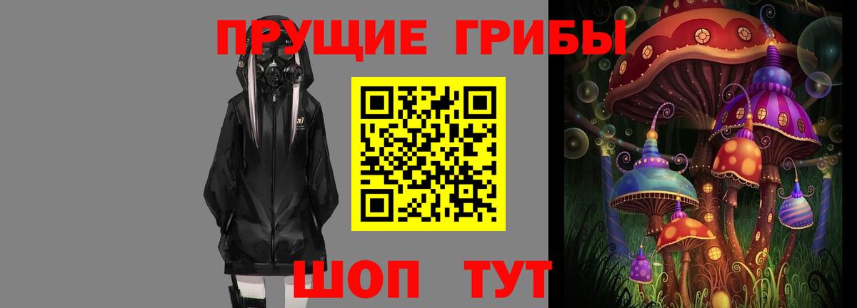 Псилоцибиновые грибы Cubensis  Вход с VPN  наркотики  Галлюциногенные грибы мицелий  Домодедово 