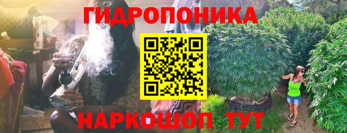 Конопля планчик Домодедово